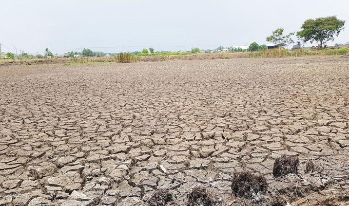 Tiền Giang: Chủ động phòng, chống hạn hán, thiếu nước, xâm nhập mặn