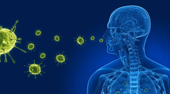 Bộ Y tế thông tin về các trường hợp mắc bệnh do virus gây viêm phổi trên người tại Trung Quốc