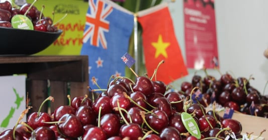 Klever Fruit tiên phong đưa sản phẩm hữu cơ thế giới về Việt Nam