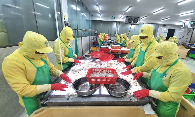 Cà Mau: Triển khai tháng hành động về an toàn, vệ sinh lao động năm 2025