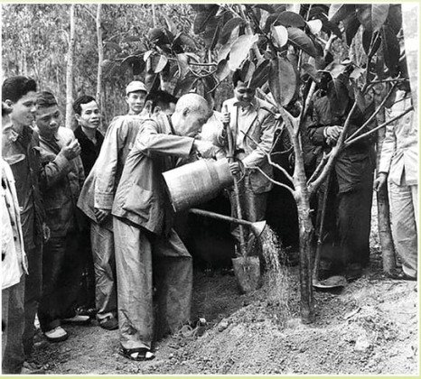 Bác Hồ với “Tết trồng cây”