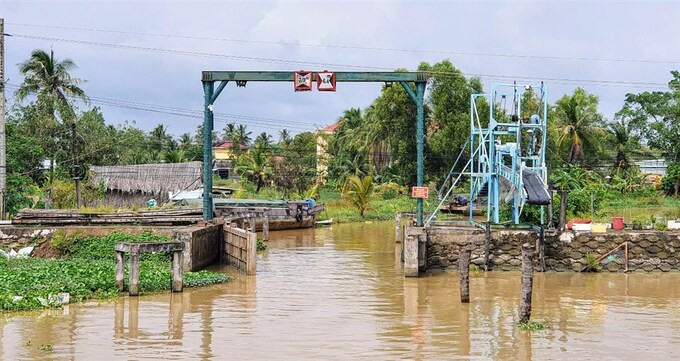 Cà Mau: Chủ động ứng phó với đợt xâm nhập mặn cao điểm