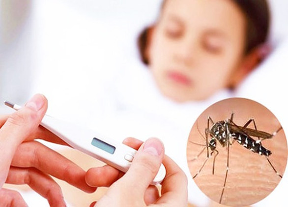 Lâm Đồng: Tăng cường phòng, chống bệnh sốt xuất huyết dengue