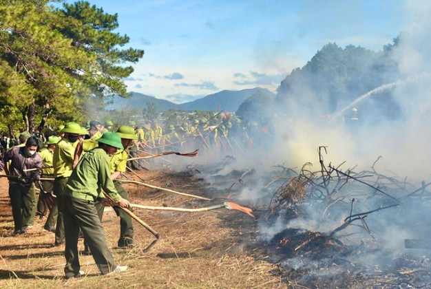 Gia Lai: Chủ động phương châm “4 tại chỗ" trong công tác phòng cháy, chữa cháy rừng