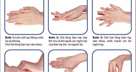 Các thời điểm quan trọng phải rửa tay và quy trình rửa tay sạch của Tổ chức Y tế Thế giới
