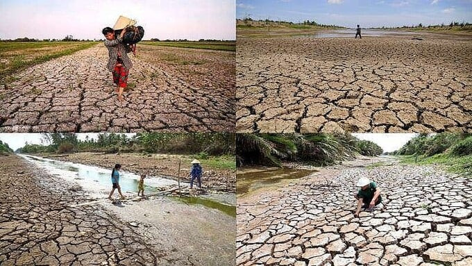 Ứng phó đợt xâm nhập mặn cao điểm 2025 trên địa bàn TP. HCM