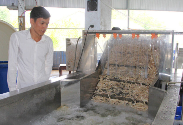 Long An: Bảo đảm an toàn thực phẩm trong lĩnh vực nông nghiệp