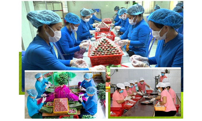Đồng Tháp: Doanh thu từ làng nghề, làng nghề truyền thống khoảng 2.042 tỷ đồng/năm