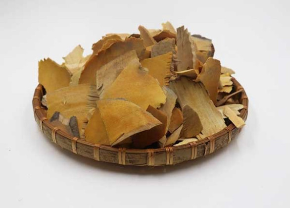 Bài thuốc dân gian điều trị đau thần kinh tọa, teo cơ