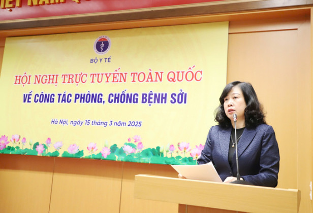 Hội nghị trực tuyến toàn quốc về công tác phòng, chống bệnh sởi
