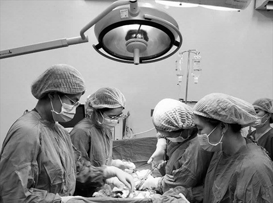 Cần Thơ: Cứu sống 3 mẹ con sản phụ bị suy hô hấp nặng và tiền sản giật nguy hiểm