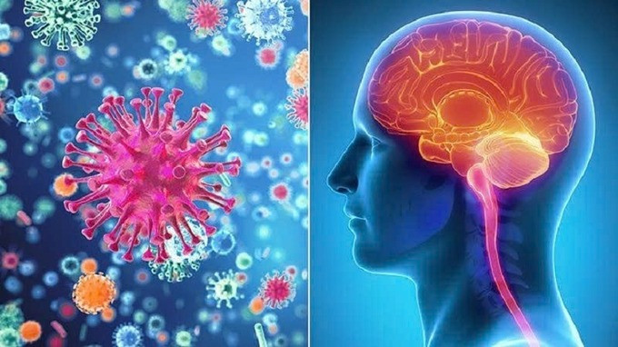 Khuyến cáo phòng bệnh viêm não, màng não do não mô cầu