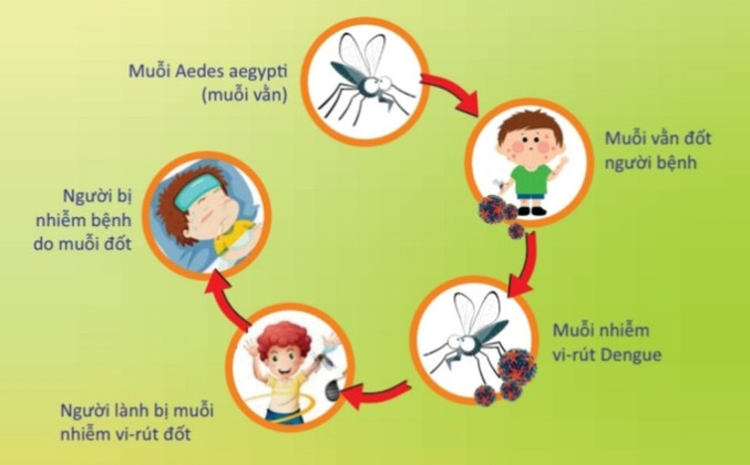 Đắk Nông chủ động phòng, chống sốt xuất huyết trong thời điểm giao mùa