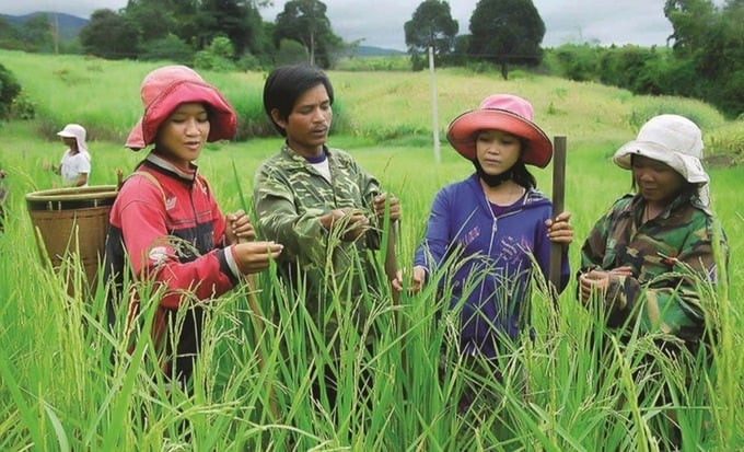 Kon Tum: Đẩy nhanh thực hiện hoàn thành mục tiêu về giảm nghèo năm 2025 và giai đoạn 2021 – 2025