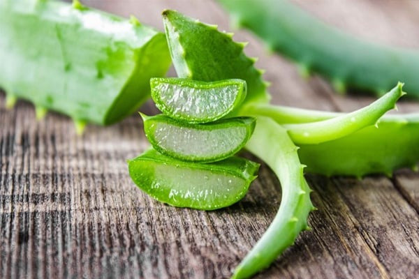 5 lợi ích bất ngờ của nha đam