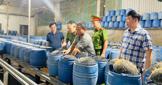 Nguy hại từ gần 350 tấn giá đỗ đã được bán ra thị trường tại Lào Cai