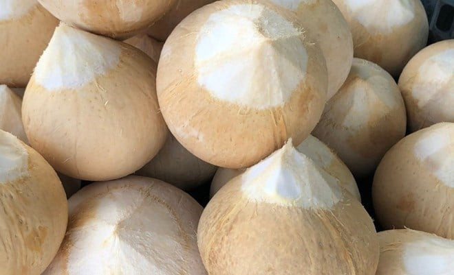 Uống nước dừa giải nhiệt theo cách này càng tăng lợi ích cho sức khỏe
