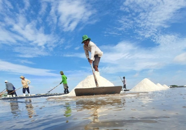 TP. HCM: Quản lý sản xuất, kinh doanh và kiểm soát an toàn thực phẩm muối năm 2025