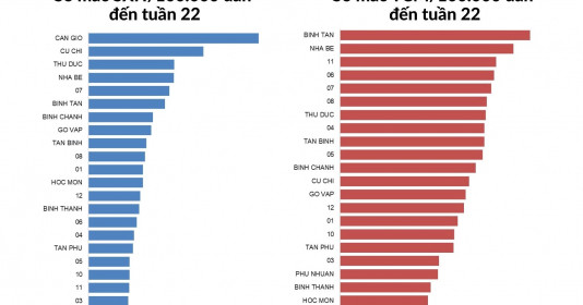 TP. Hồ Chí Minh: Tình hình dịch bệnh sốt xuất huyết, tay chân miệng và sởi tính đến tuần 22