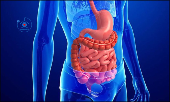 Cách nhận biết sức khỏe hệ tiêu hóa từ thói quen đại tiện nhiều lần trong ngày