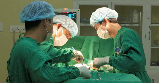 Tự ý dùng ong đốt chữa ung thư, người phụ nữ phải cắt bỏ cả hai vú vì di căn