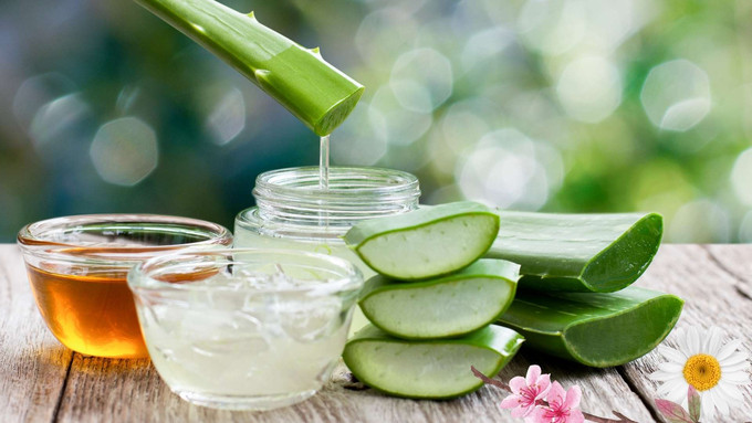 Bí quyết dưỡng mi và làm sáng da với lô hội