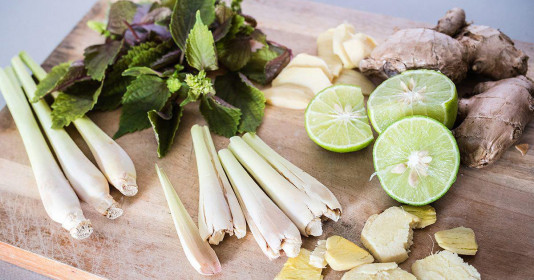 Uống nước lá tía tô với chanh, sả, gừng có tác dụng gì?