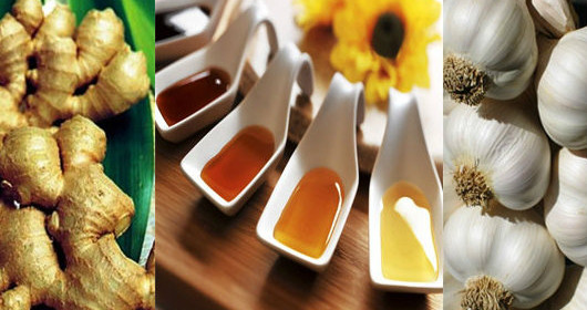 Thảo dược nào chứa kháng sinh tự nhiên?