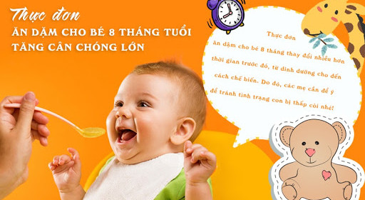 Giúp mẹ xây dựng thực đơn ăn dặm cho bé 8 tháng tuổi giúp con tăng cân nhanh, phát triển tốt