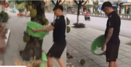 Hí hửng mang chậu hứng mít chín cây, cả nhà tiu nghỉu vì sự cố bất ngờ