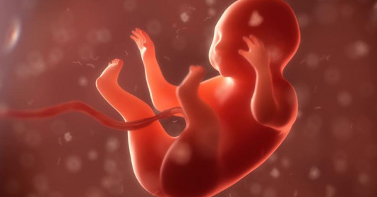 Thai nhi có thể bảo vệ mẹ bầu, nghe khó tin nhưng nó thể hiện tình mẫu tử thiêng liêng