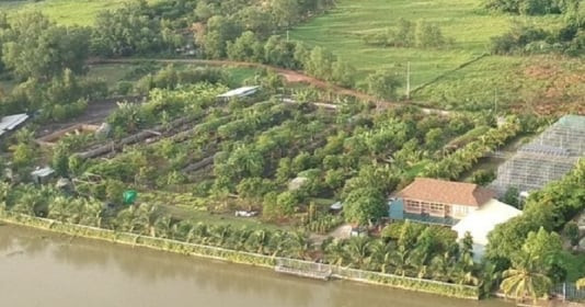 Cần làm rõ dấu hiệu trốn thuế trong vụ chuyển nhượng 9.000m2 đất được cho liên quan đến vợ lãnh đạo tỉnh Bình Dương
