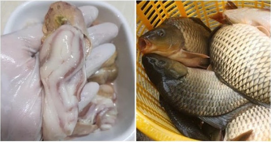 5 bộ phận của cá nhất định đừng ăn dù có thấy ngon: Chứa chất cặn bã, kim loại gây bệnh, bỏ đi thì hơn