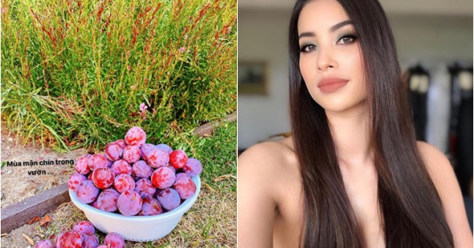Phạm Hương mở lại Instagram, chỉ đăng ảnh hoa quả chứ không khoe mặt
