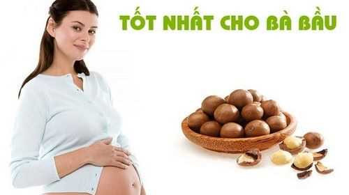Hạt Macca - "nữ hoàng" của các loại hạt, món ăn cực kì dinh dưỡng mà rất ít mẹ bầu biết