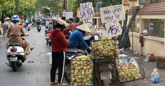 Đào, mận, nho... Trung quốc lẫn lộn hàng Việt bán đầy chợ, Hãy phân biệt bằng cách này