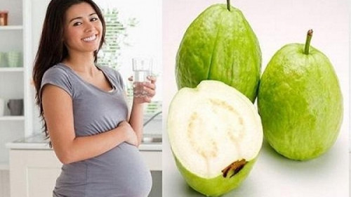 Tác dụng của lá ổi cho các mẹ bầu trước và sau sinh tốt đến không ngờ
