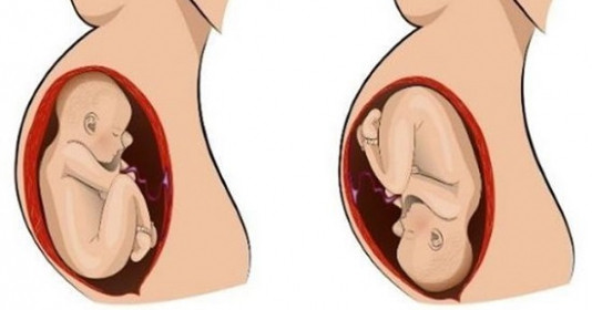 Giải đáp câu hỏi: Thai nhi bao nhiêu tuần thì quay đầu?