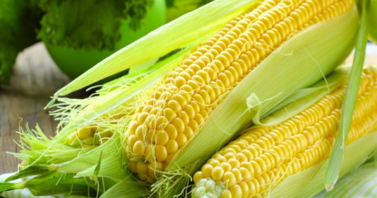 Mỗi ngày 1 bắp ngô giá 5000 đồng nhưng ngừa được nhiều bệnh, tốt cho sức khỏe