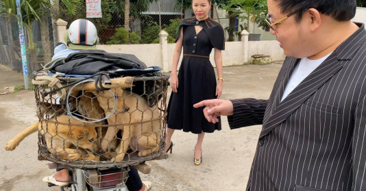 Ca sĩ Quang Lê giải cứu thành công 5 chú c.hó đang trên đường tới lò mổ