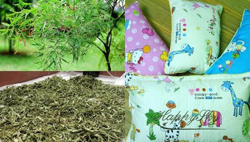 Mách mẹ cách làm gối đinh lăng cho bé ngủ sâu ngon giấc