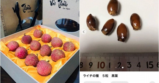  Dân tình ngạc nhiên vì "hạt vải" được rao bán lên tới 140.000 đồng tại shop online Nhật, lý do không phải ai cũng biết?