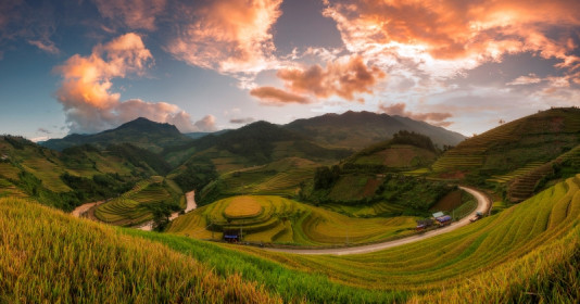 Mù Cang Chải vàng rực mùa lúa chín