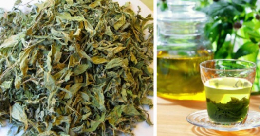 Tiết lộ thức uống cực lợi sữa cho mẹ sau sinh, uống vào sữa về tràn trề