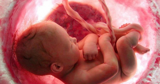 Thai nhi thường làm gì trong bụng mẹ? Nghe xong các mẹ đều bật cười