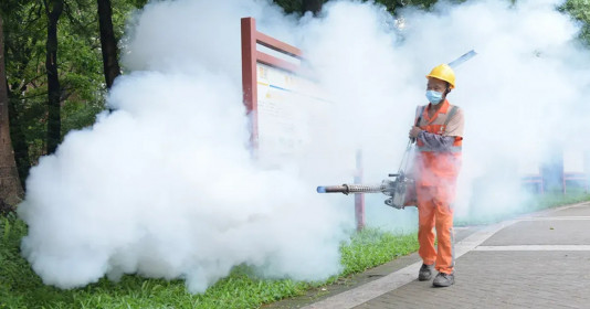 Xuất hiện nhiều ca sốt Chikungunya ở Quảng Tây