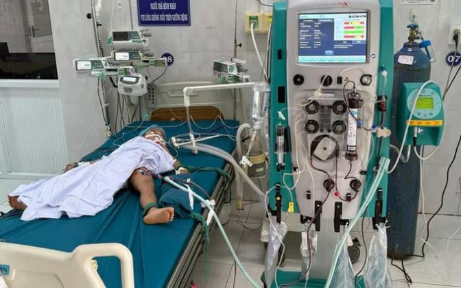 Gia Lai: Ba em nhỏ bị ong tấn công, một bé tử vong thương tâm