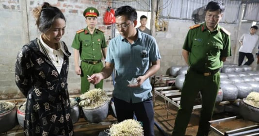Hà Tĩnh: Phát hiện cơ sở dùng chất cấm để sản xuất gần nửa tấn giá đỗ