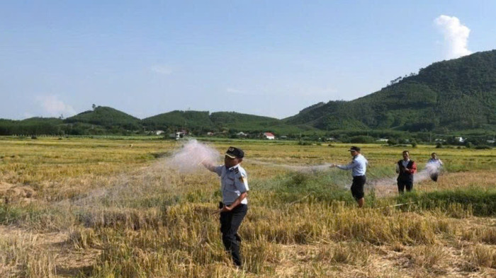 Khánh Hòa thực hiện ngăn chặn nạn săn bắt chim yến “tận diệt”