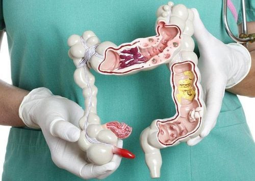 Liệu pháp tăng cường miễn dịch tự thân áp dụng những loại ung thư nào?